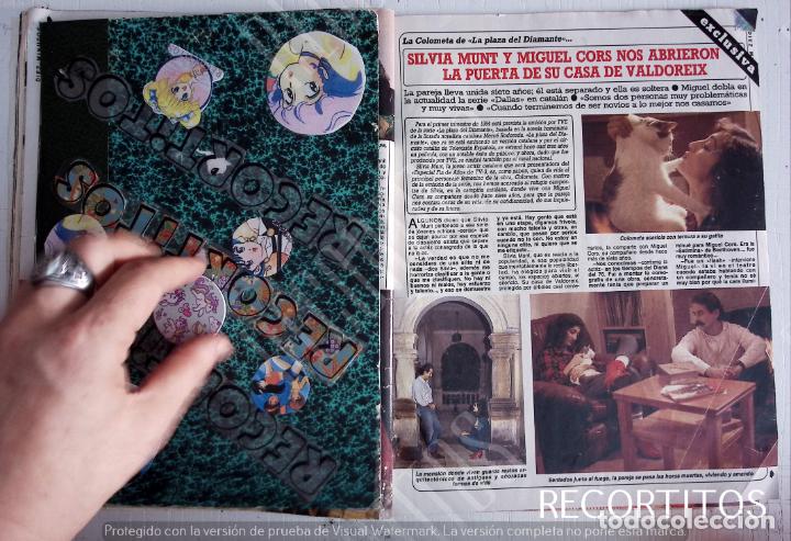 Collectionnisme de Revues et Journaux: silvia munt