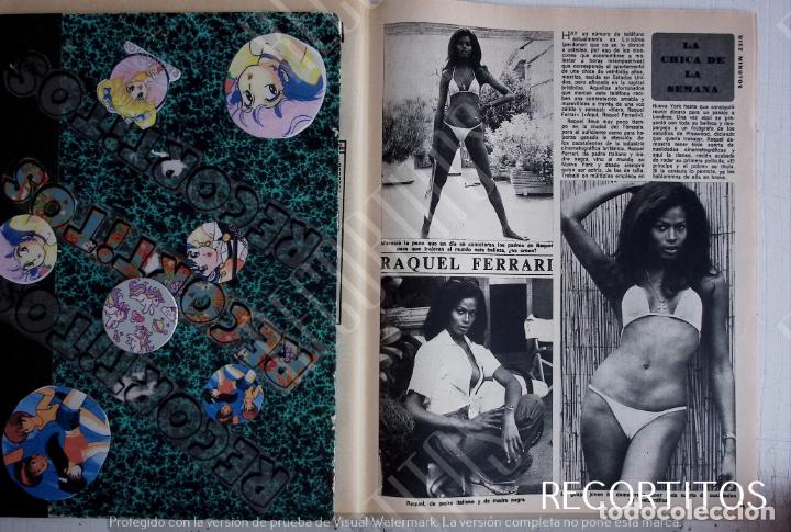 Coleccionismo de revistas y peri&oacute;dicos: raquel ferrari