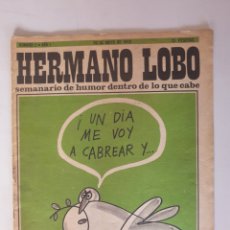 Coleccionismo de Revistas y Periódicos: HERMANO LOBO, SEMANARIO DE HUMOR DENTRO DE LO QUE CABE. N°2. ED. PLEYADES 1972