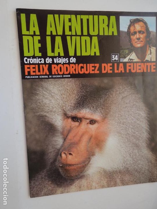 Coleccionismo de Revistas y Peri&oacute;dicos: LA AVENTURA DE LA VIDA-FASCICULO 34- CRONICA DE VIAJES FELIX RODRIGUEZ DE LA FUENTE - EDC URBION