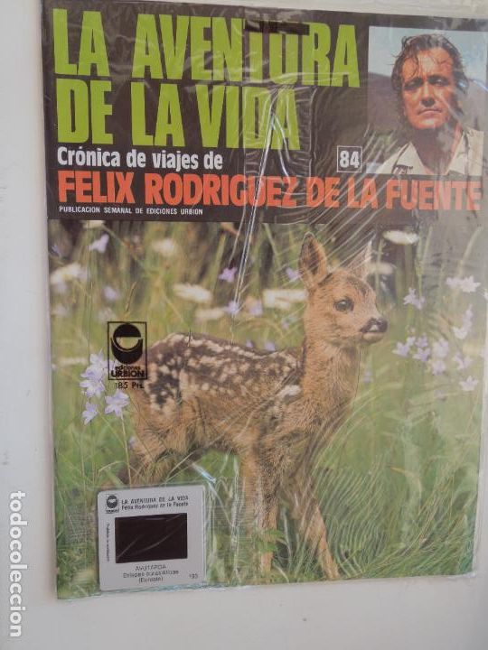Coleccionismo de Revistas y Peri&oacute;dicos: LA AVENTURA DE LA VIDA-FASCICULO 84- CRONICA DE VIAJES FELIX RODRIGUEZ DE LA FUENTE - EDC URBION
