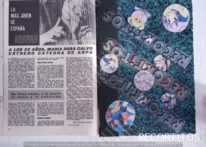 Coleccionismo de Revistas y Peri&oacute;dicos: MARIA ROSA CALVO ARPA CATEDRA