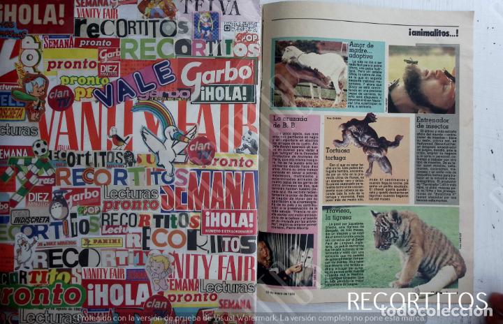 Coleccionismo de Revistas y Peri&oacute;dicos: bb brigitte bardot