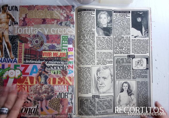Sammeln von Zeitschriften und Zeitungen: CATHERINE DENEUVE MATHIEU CARRIERI SHEILA CANTANTE FRANCESA JEAN PAUL BELMONDO
