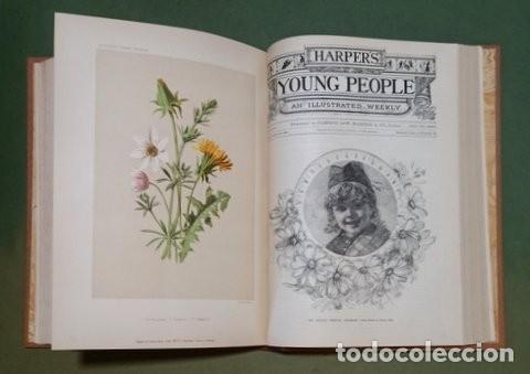 Coleccionismo de revistas y peri&oacute;dicos: HARPER'S YOUNG PEOPLE . Vol. I completo (52 n&uacute;meros) 1884-1885