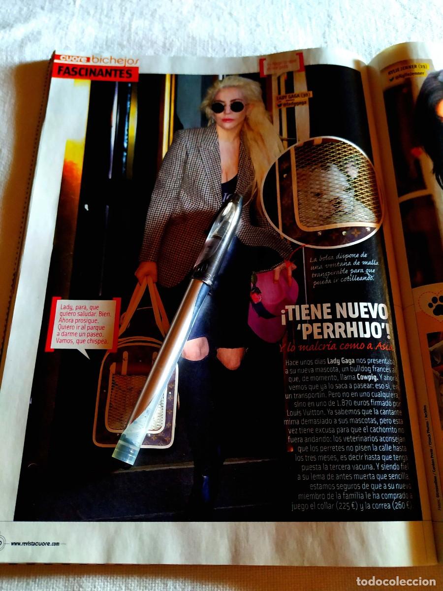 Collectionnisme de Revues et Journaux: REVISTA CUORE - 2016 - RECORTES - LADY GAGA, KYLIE JENNER Y SUS PERROS