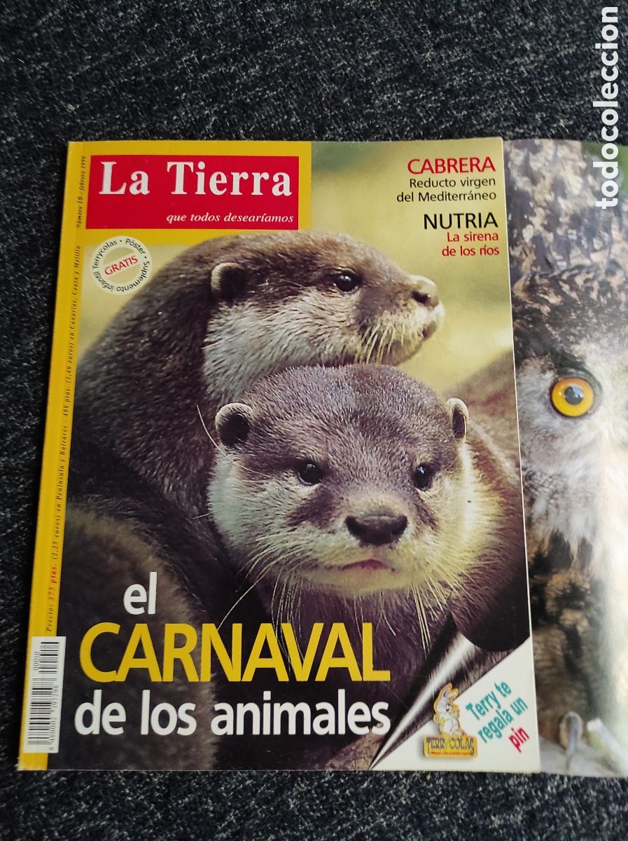 Collection Magazines and Newspapers: LA TIERRA QUE TODOS DESEARIMOS N&ordm; 10 A&Ntilde;O 1999 - REVISTA ECOLOGIA