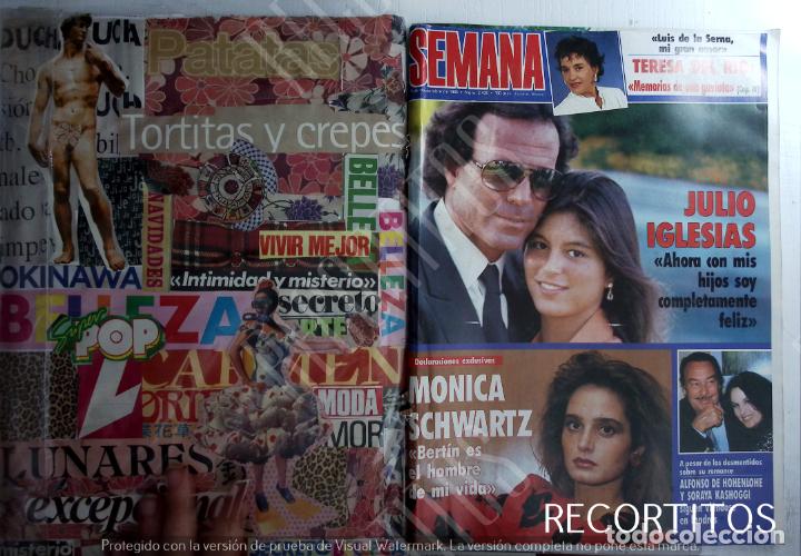 Coleccionismo de Revistas y Peri&oacute;dicos: RECORTE PORTADA TERESA DEL RIO TERE JULIO IGLESIAS CHABELI MONICA SCHWARTZ