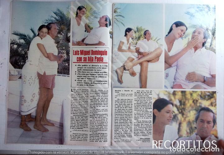 Collectionnisme de Revues et Journaux: LUIS MIGUEL DOMINGUIN PAOLA