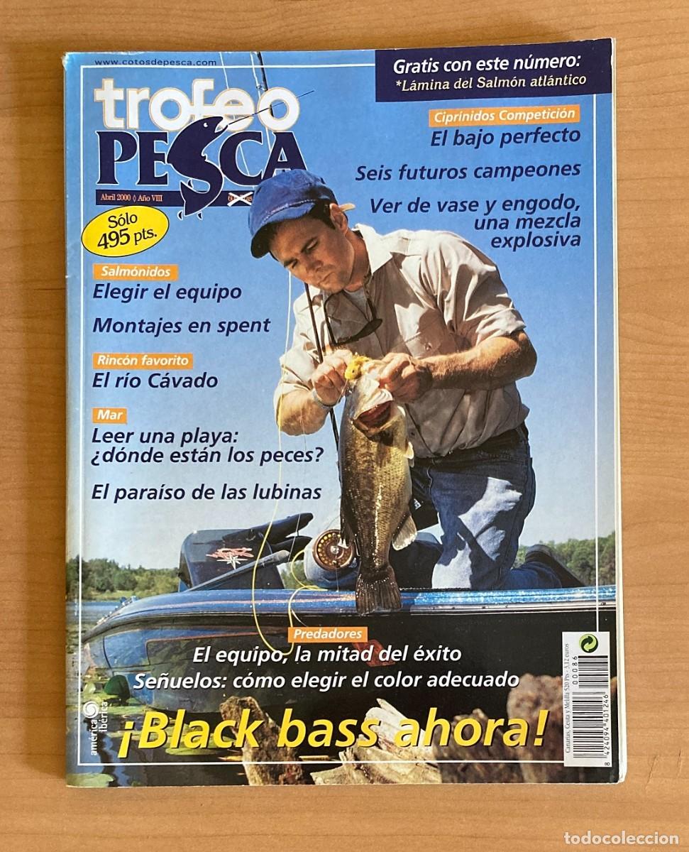 Collectionnisme de Revues et Journaux: REVISTA TROFEO PESCA. N&ordm;86. ABRIL 2000