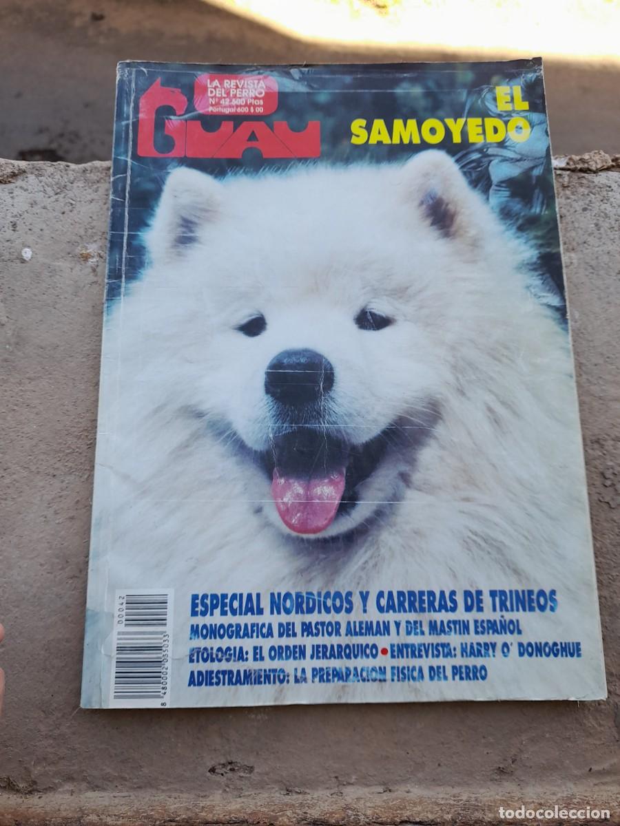 Coleccionismo de revistas y peri&oacute;dicos: Revista Guau perros N&deg; 42 Samoyedo carreras de trineos n&oacute;rdicos razas espa&ntilde;olas
