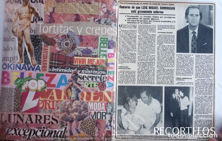 Coleccionismo de Revistas y Peri&oacute;dicos: MIGUEL BOSE LUIS MIGUEL DOMINGUIN LUCIA BOSE