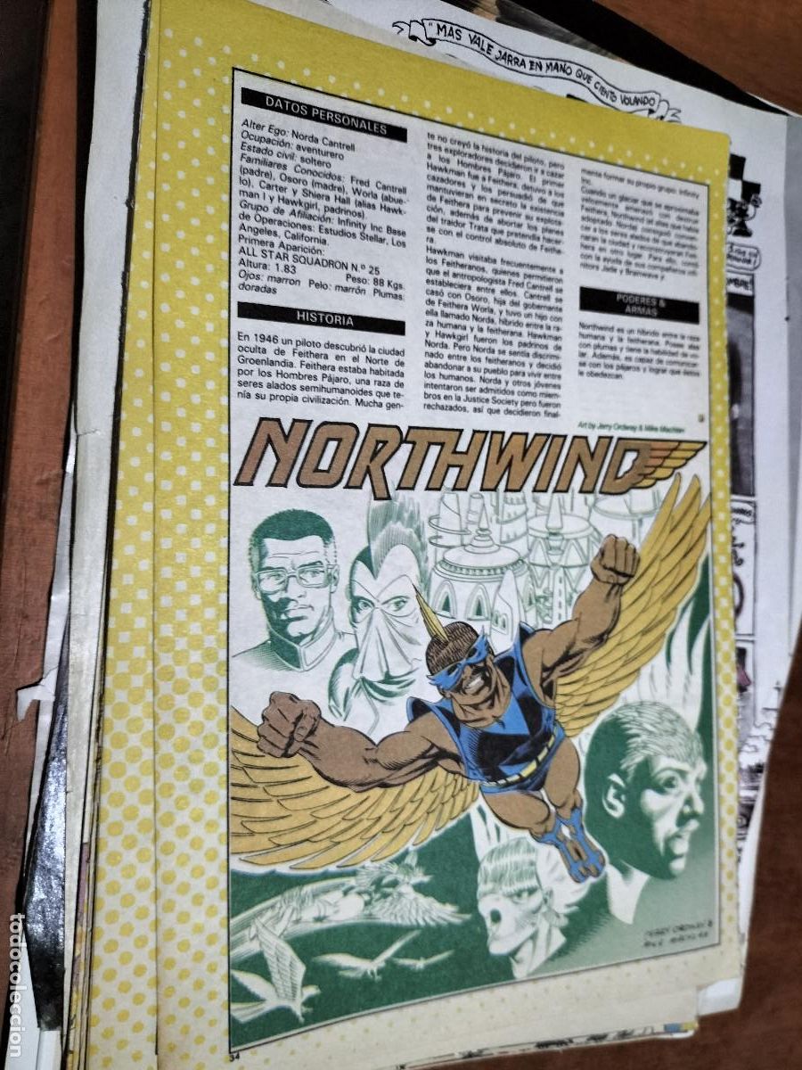 Collezionismo di Riviste e Giornali: NORTHWIND DC. FICHA PERSONAJE. 1 P&Aacute;GINAS. ART&Iacute;CULO EXTRAIDO DE REVISTA. BUEN ESTADO