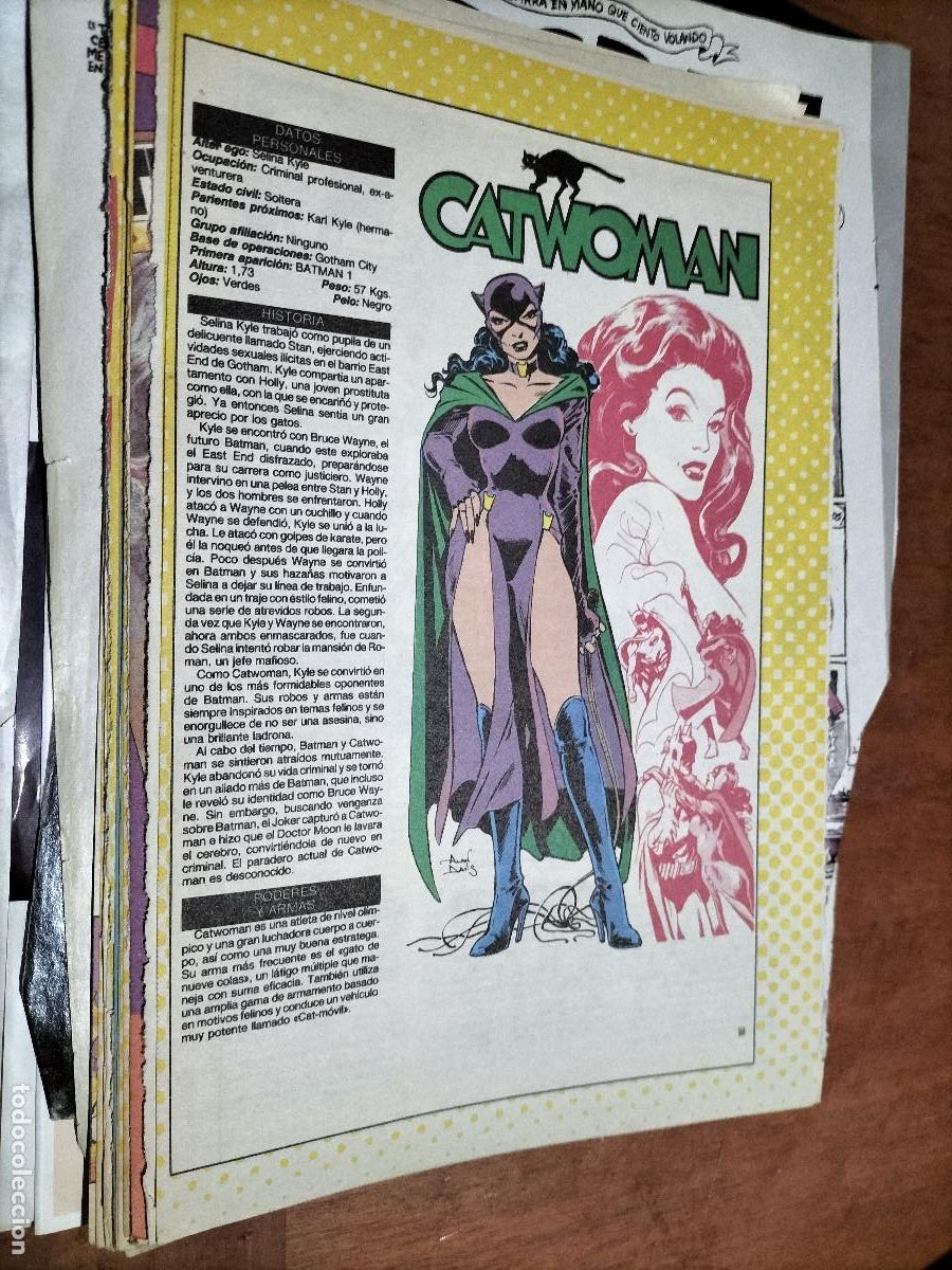 Collezionismo di Riviste e Giornali: CATWOMAN. DC. FICHA PERSONAJE. 1 P&Aacute;GINAS. ART&Iacute;CULO EXTRAIDO DE REVISTA. BUEN ESTADO