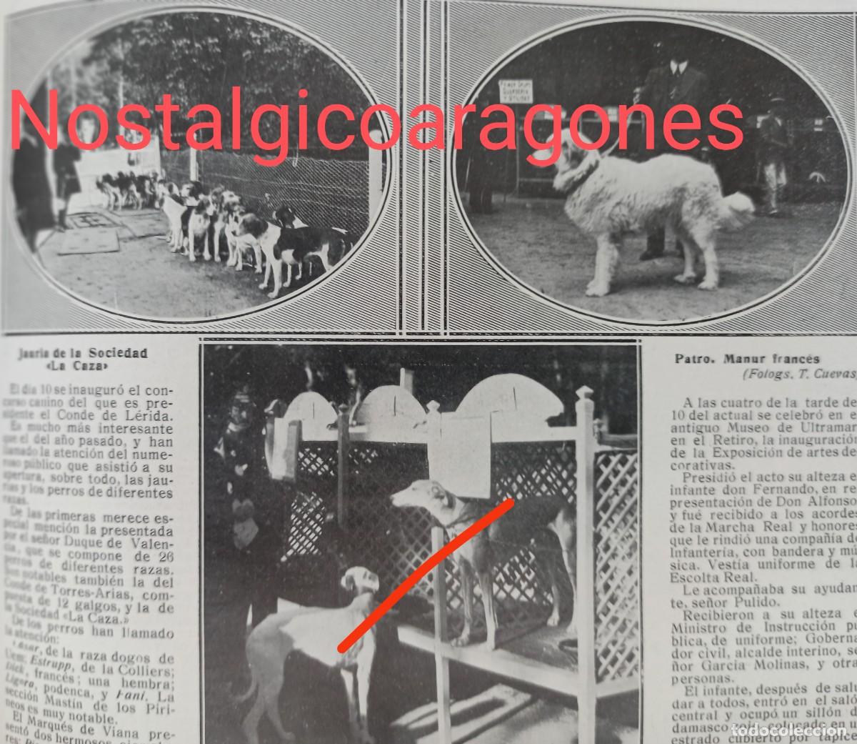 Sammeln von Zeitschriften und Zeitungen: Madrid concurso de perros foto revista princ siglo XX 19MM