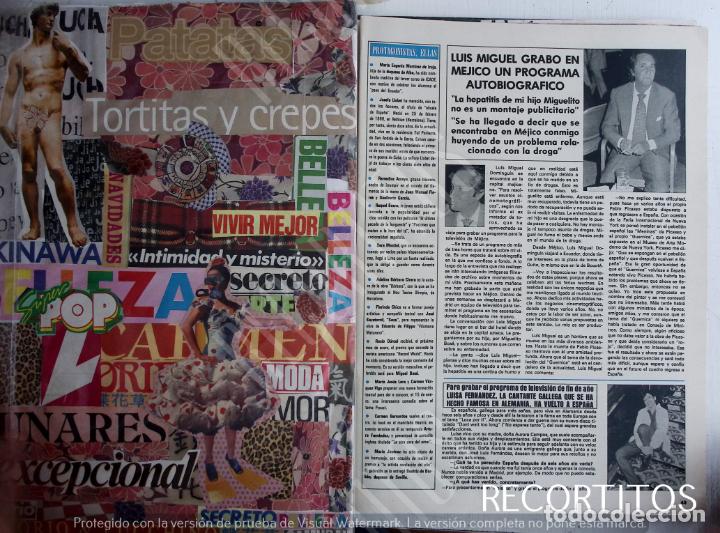 Coleccionismo de Revistas y Peri&oacute;dicos: LUIS MIGUEL DOMINGUIN LUISA FERNANDEZ