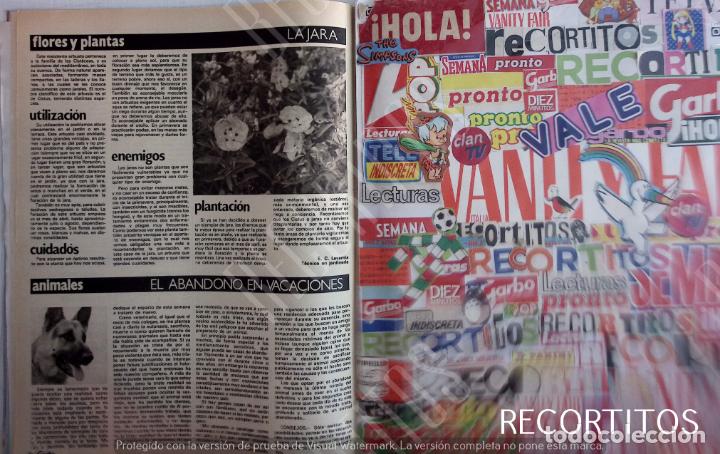 Coleccionismo de Revistas y Peri&oacute;dicos: PERROS ABANDONO ESTIVAL