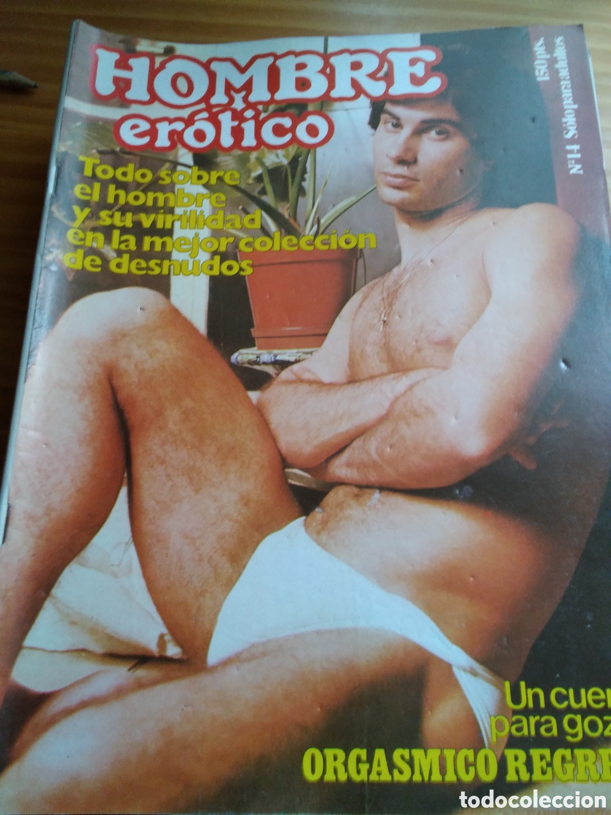 hombre erótico revista española desnudos mascul - Compra venta en  todocoleccion