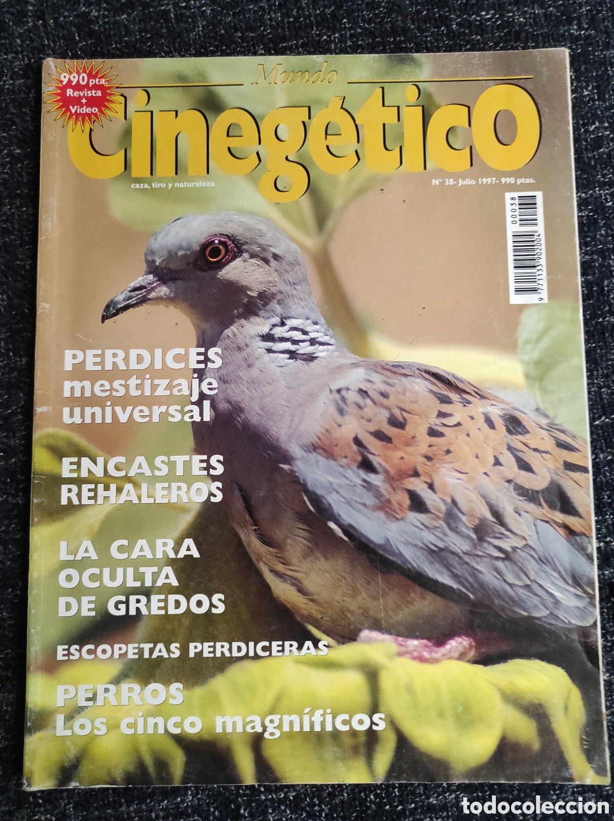 Coleccionismo de revistas y peri&oacute;dicos: MUNDO CINEGETICO N&ordm; 38 JULIO 1997 - REVISTA DE CAZA