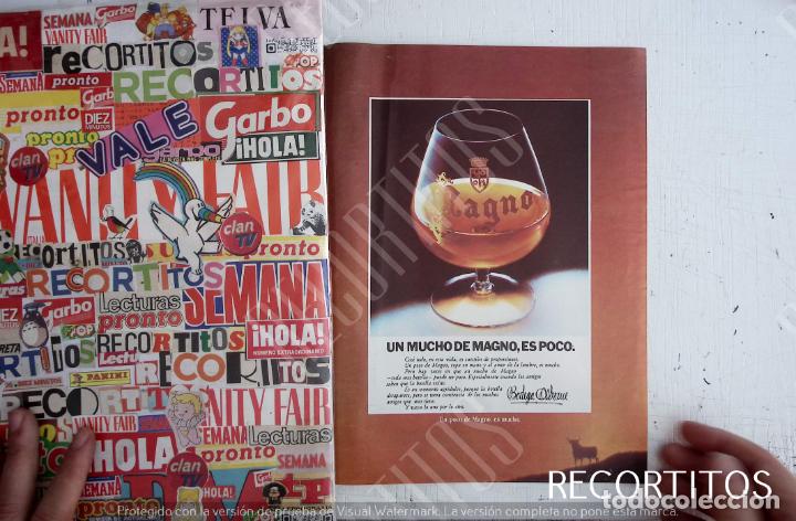 Coleccionismo de Revistas y Peri&oacute;dicos: magno brandy anuncio publicidad