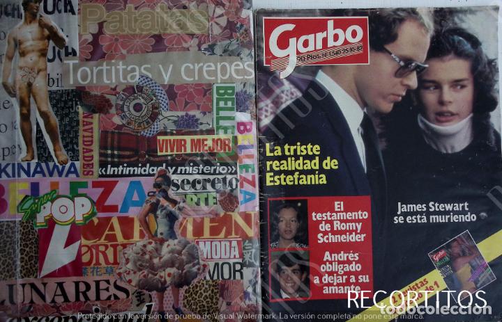 Coleccionismo de Revistas y Peri&oacute;dicos: recorte portada estefania de monaco romy schneider