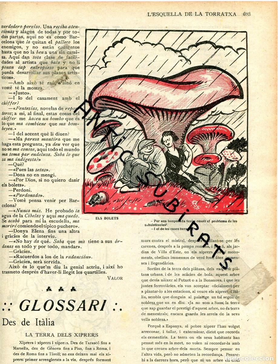 Coleccionismo de revistas y peri&oacute;dicos: REVISTA A&Ntilde;O 1922 SETAS BOLETS CECILIO GUZMAN ANTOIO AGUILAR PEPE MERINO