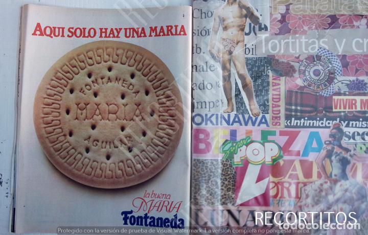 Sammeln von Zeitschriften und Zeitungen: galleta maria FONTANEDA anuncio publicidad