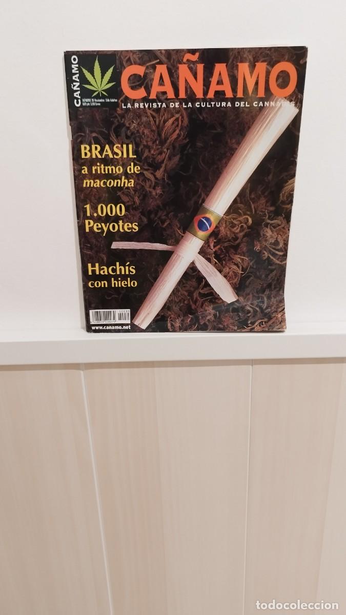 Collezionismo di Riviste e Giornali: Revista C&aacute;&ntilde;amo,La Cultura del Cannabis.N&deg;35 Noviembre 2000