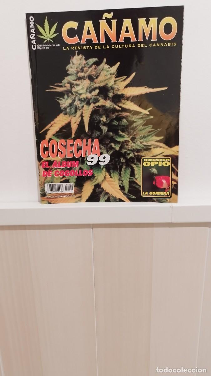 Collezionismo di Riviste e Giornali: Revista C&aacute;&ntilde;amo,La Cultura del Cannabis.N&deg; 12 Diciembre 98