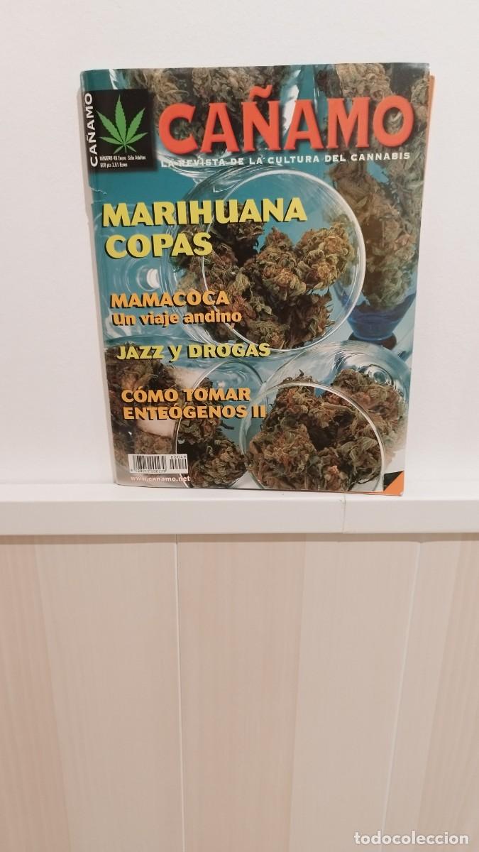 Collezionismo di Riviste e Giornali: Revista C&aacute;&ntilde;amo,La Cultura del Cannabis.N&deg;49 Con Poster