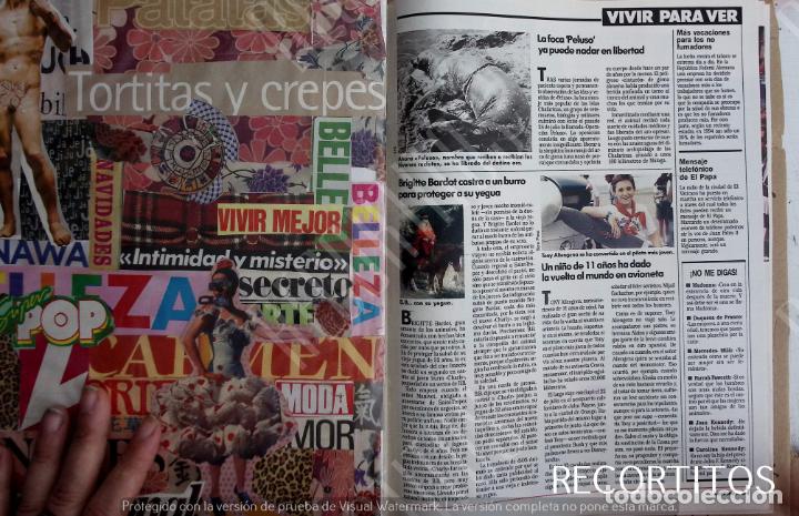 Coleccionismo de Revistas y Peri&oacute;dicos: brigitte bardot bb