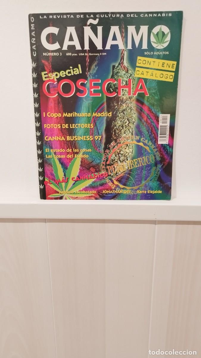 Collezionismo di Riviste e Giornali: Revista C&aacute;&ntilde;amo,La Cultura del Cannabis N&deg;3