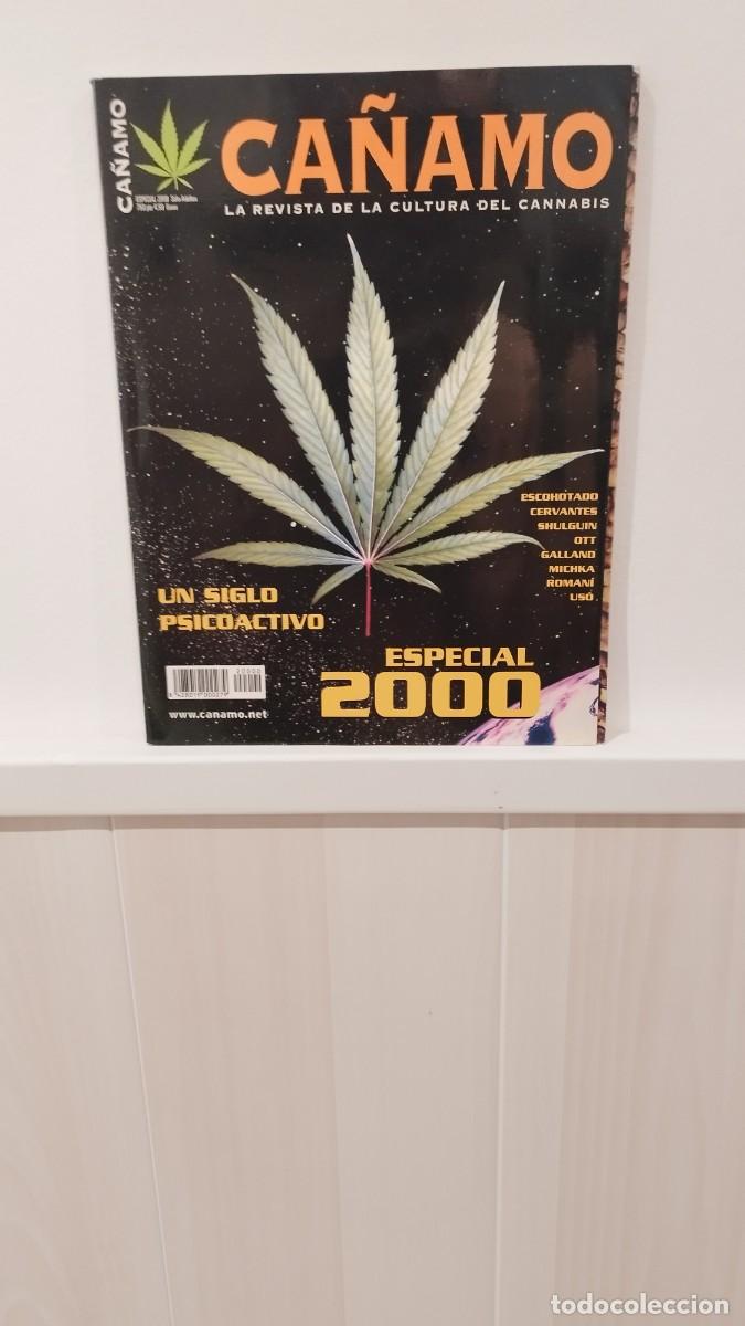 Collezionismo di Riviste e Giornali: Revista C&aacute;&ntilde;amo,La Cultura del Cannabis N&deg;Especial 2000