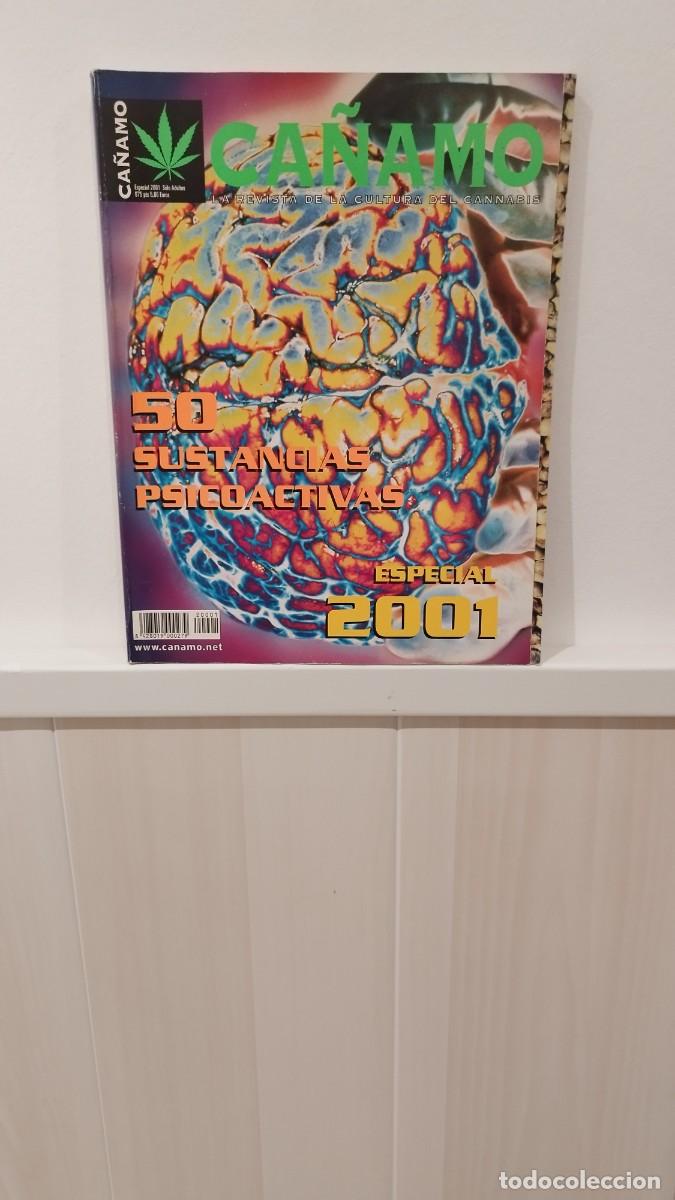 Collezionismo di Riviste e Giornali: Revista C&aacute;&ntilde;amo,La Cultura del Cannabis N&deg;Especial 2001