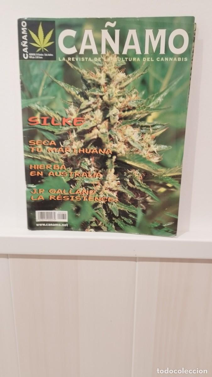 Collezionismo di Riviste e Giornali: Revista C&aacute;&ntilde;amo,La Cultura del Cannabis N&deg;34