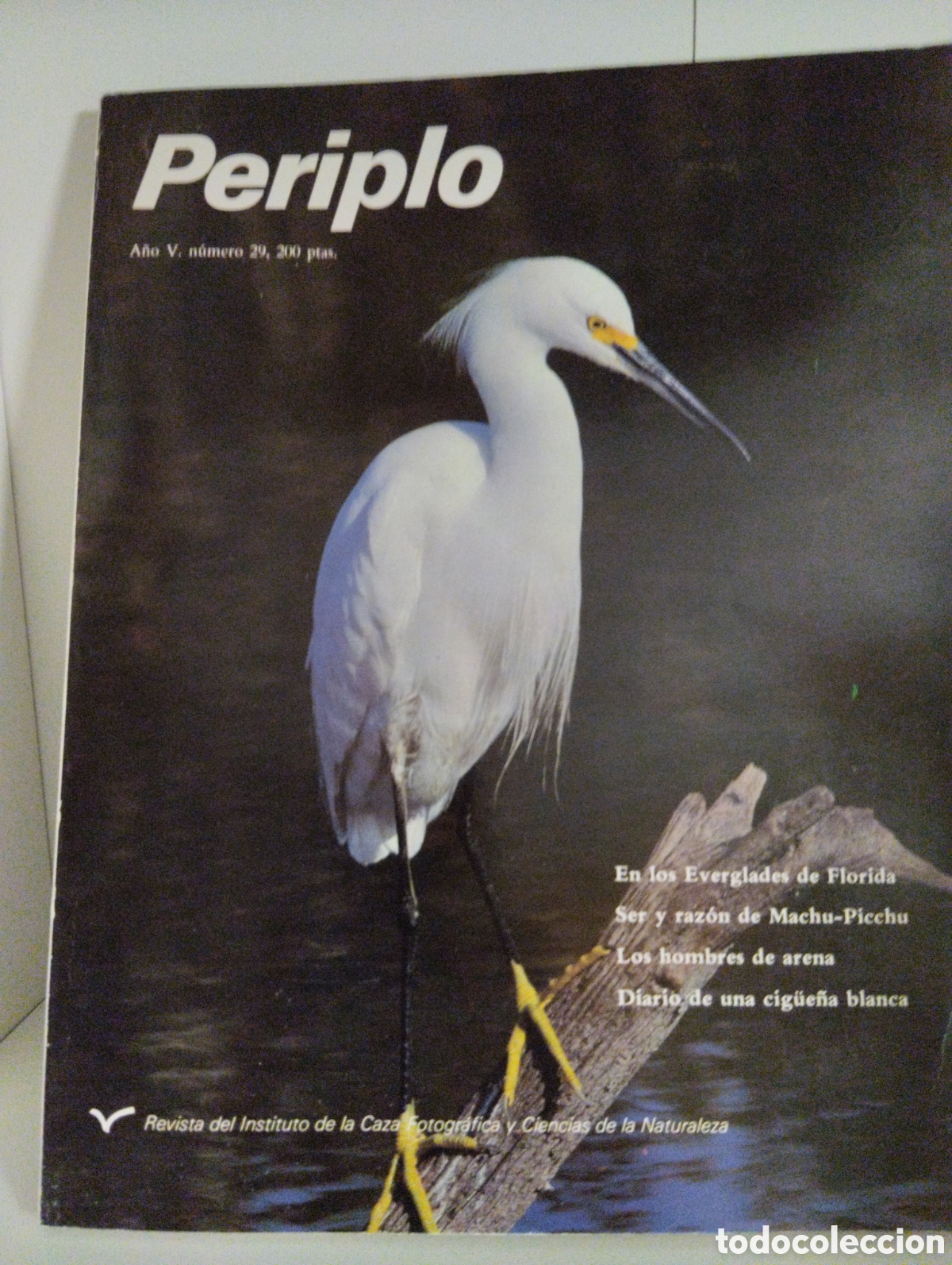 Collection Magazines and Newspapers: Periplo, A&ntilde;o V, n&uacute;mero 29