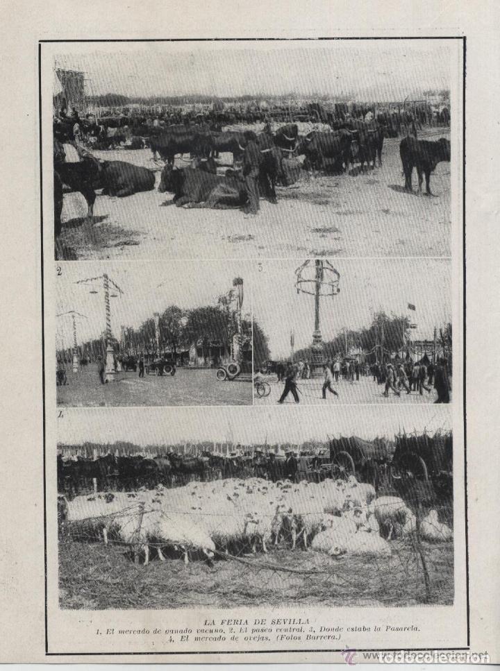 Coleccionismo de revistas y peri&oacute;dicos: Feria de Sevilla: mercado de ganado vacuno y de ovejas - 1921