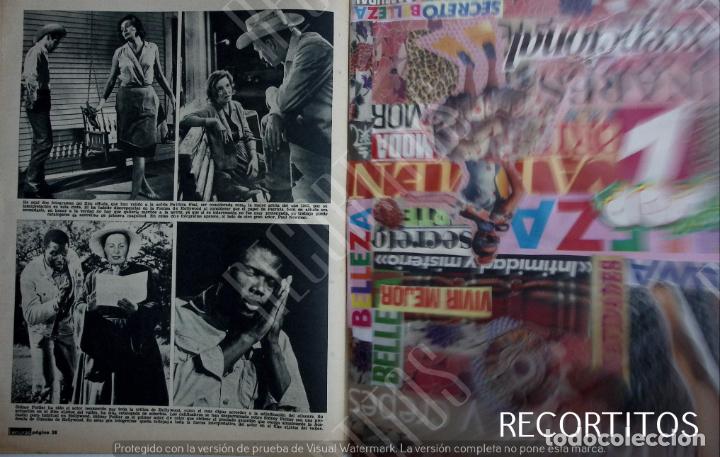 Coleccionismo de Revistas y Peri&oacute;dicos: PATRICIA MCNEAL NEAL PAUL NEWMAN SIDNEY POITIER POTIER POTTIER