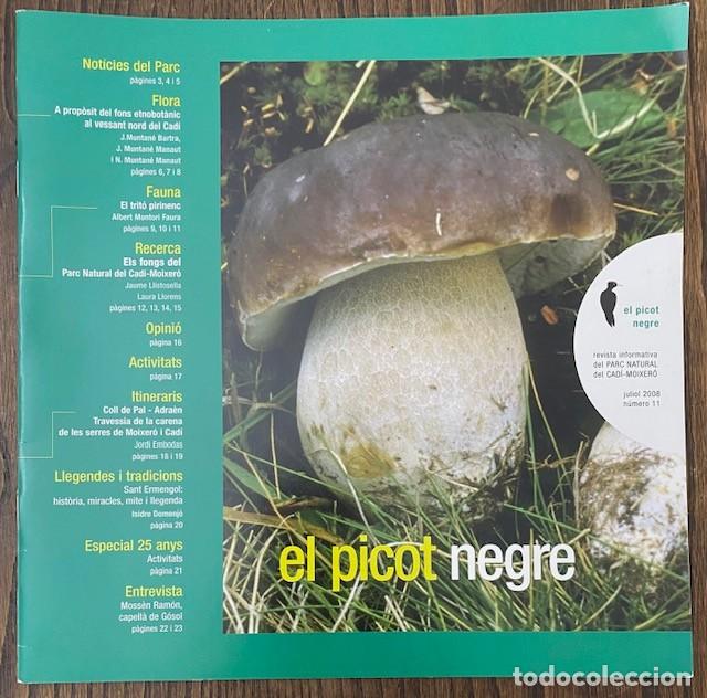 Collectionnisme de Revues et Journaux: EL PICOT NEGRE Revista informativa del Parc Natural del Cad&iacute;-Moixer&oacute; n&uacute;m. 11 juny 2008