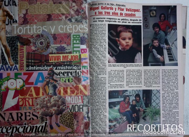 Coleccionismo de revistas y peri&oacute;dicos: MIGUEL GALLARDO PILAR VELAZQUEZ