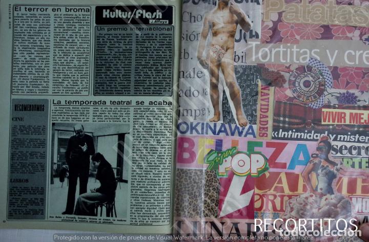 Coleccionismo de Revistas y Peri&oacute;dicos: ANA BELEN FERNANDO DELGADO