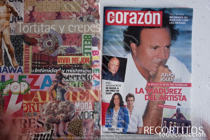 Coleccionismo de Revistas y Peri&oacute;dicos: JULIO IGLESIAS recorte portada