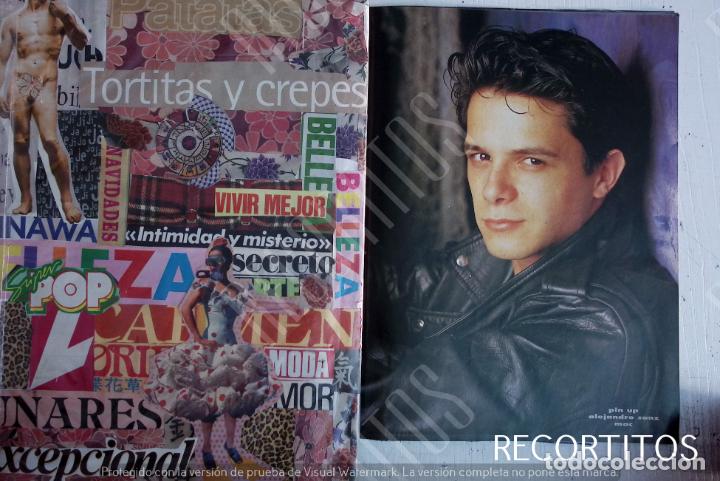 Coleccionismo de Revistas y Peri&oacute;dicos: ALEJANDRO SANZ