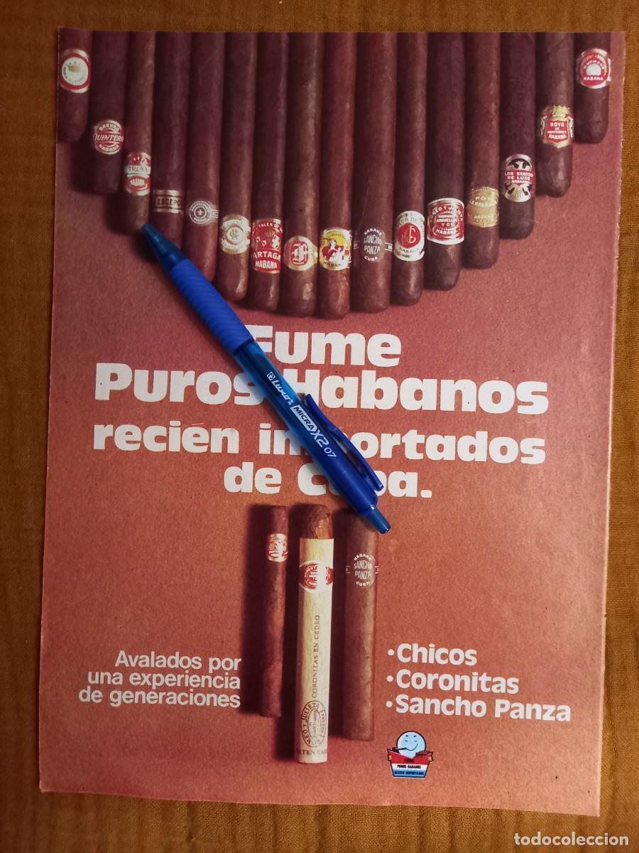 Coleccionismo de Revistas y Peri&oacute;dicos: PUBLICIDAD TABACO. ANUNCIO DE PUROS HABANOS CHICOS, CORONITAS, SANCHO PANZA. EXTRA&Iacute;DO DE REVISTA
