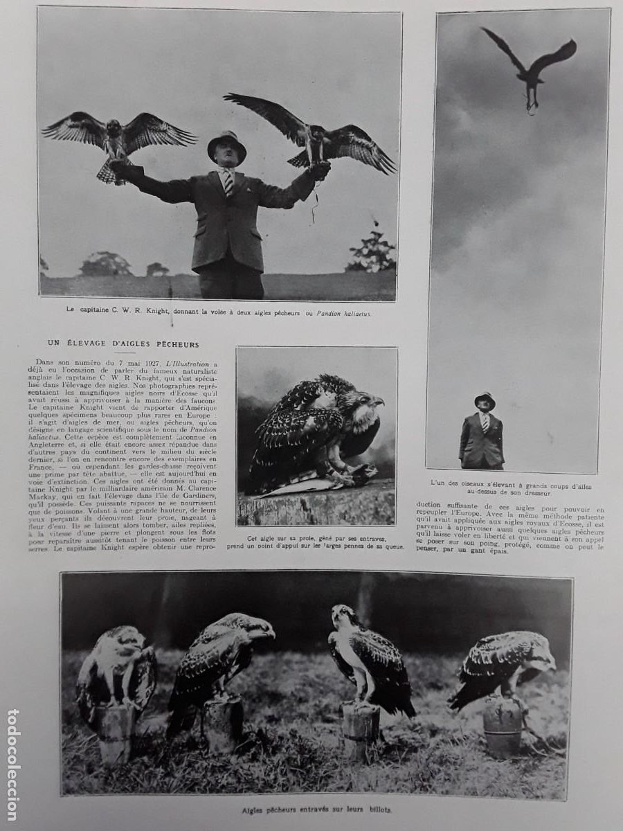 Collection Magazines and Newspapers: AGUILAS PESCADORAS REVISTA A&Ntilde;O 1927