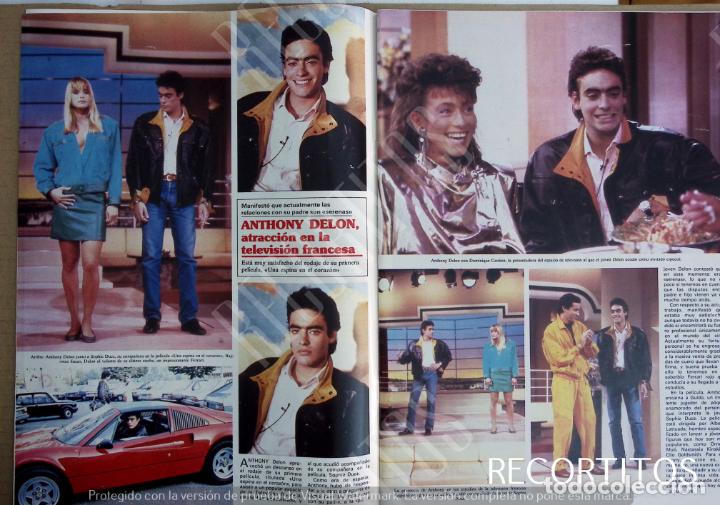 Collection Magazines and Newspapers: ANTHONY DELON SOPHIE DUEZ DOMINIQUE CANTIEN CAROLINA DE MONACO VICTOR MANUEL DE SABOYA