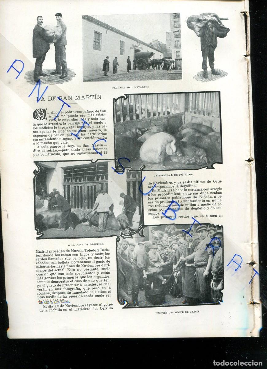 Collezionismo di Riviste e Giornali: REVISTA A&Ntilde;O 1901 SANT FELIU DE LLOBREGAT CARRERA POLA DE SIERO JOSE ROIG BERGADA MATANZA DEL CERDO
