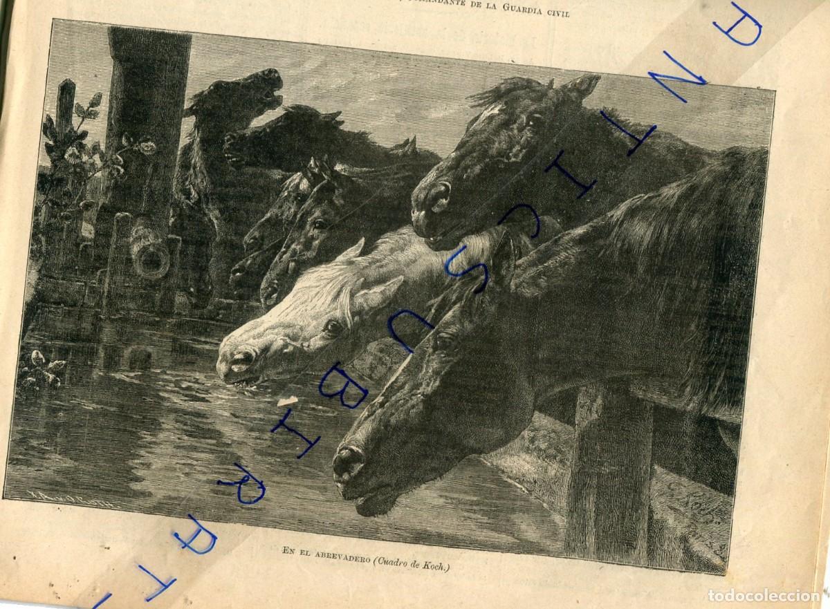Collezionismo di Riviste e Giornali: REVISTA A&Ntilde;O 1888 EN EL ABREVADERO KOCH INPIRACION O PLAGIO DE DALI ALFONSO XIII DE NI&Ntilde;O PELON