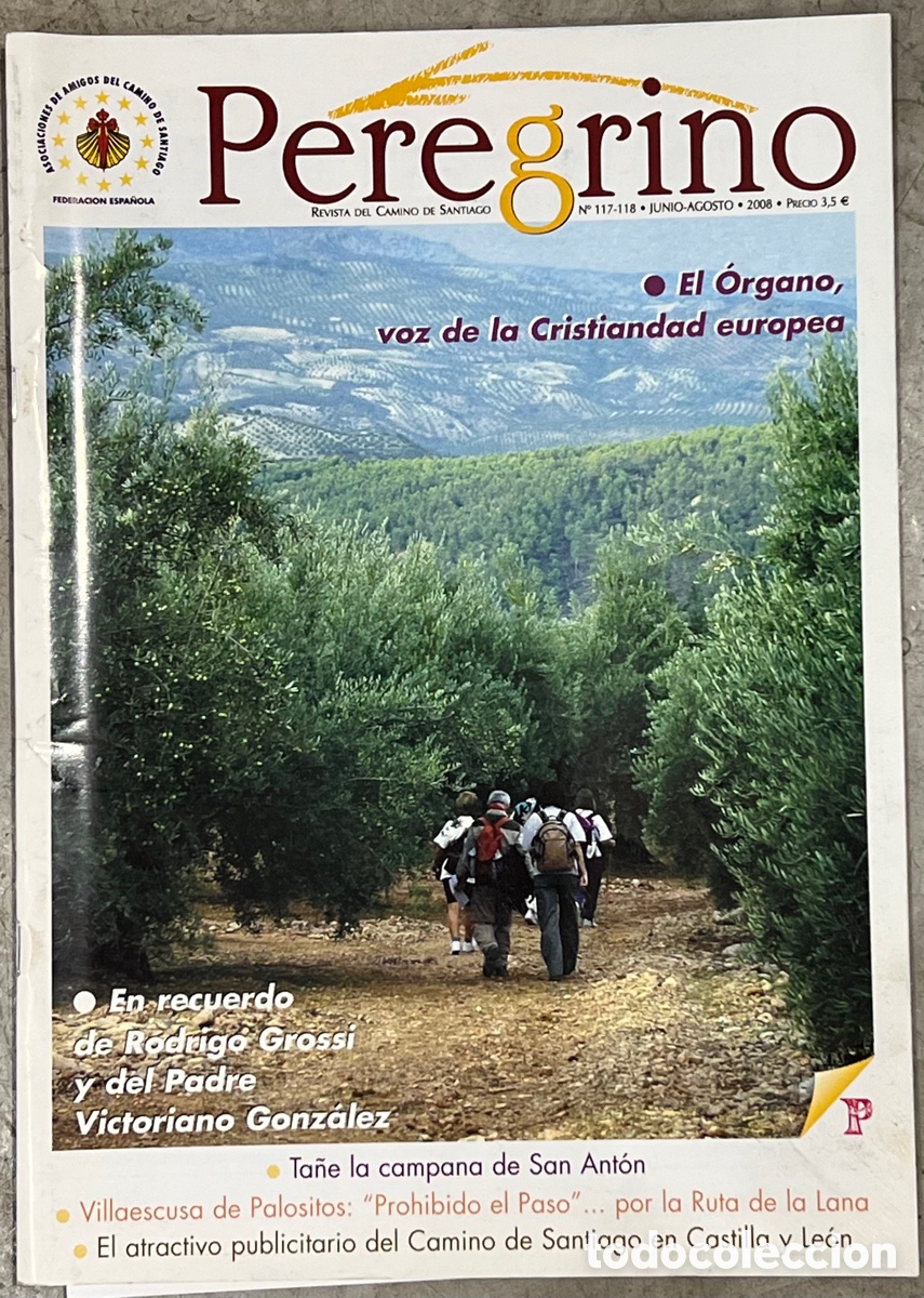 Coleccionismo de Revistas y Peri&oacute;dicos: Revista del Camino De Santiago. PEREGRINO. 2008.
