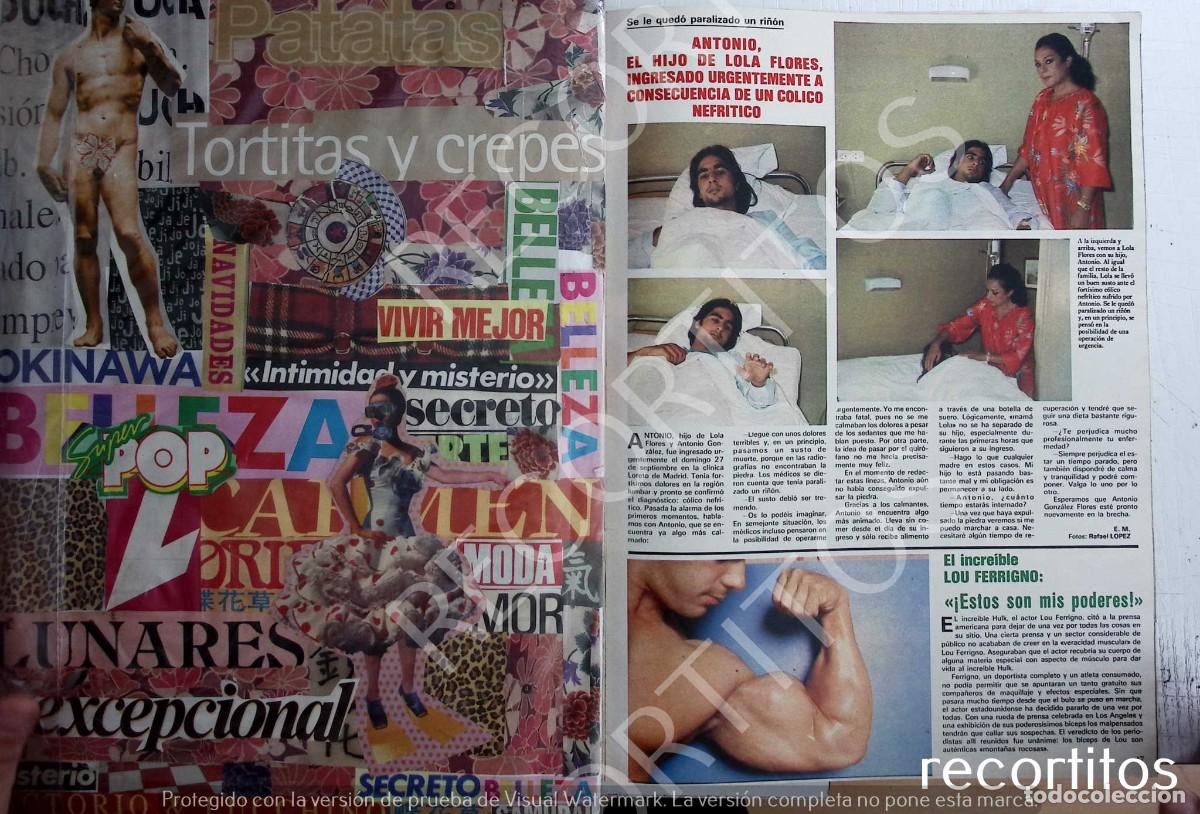 Coleccionismo de Revistas y Peri&oacute;dicos: LOU FERRIGNO HULK LOLA FLORES ANTONIO